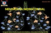 Neumonia nosocomial: 2012