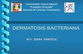 Dermatosis bacteriana. Prof. Sonia Santeliz