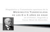Meninguitis tuberculosa