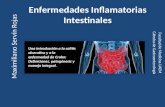 Enfermedades inflamatorias intestinales, Crohn y Colitis Ulcerativa