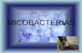 Micobacterias 2012