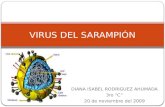 Virus Del Sarampion