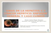 Virus de la hepatitis c