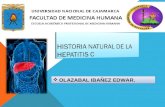 Historia natural de la hepatitis c