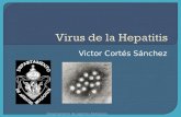 19.  Virus de la Hepatitis