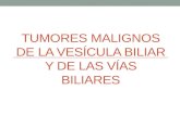 Tumores malignos de la vesícula biliar y de las vías biliares