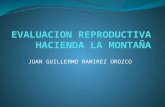 Evaluacion reproductiva hacienda la montaña