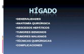 Higado E Hipertension Portal (Cirugia)