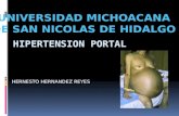 Hipertension Portal Hernesto hdz