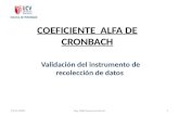 Validacion instrumentos _alfa_de_crombach