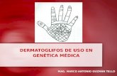 SesióN 06 Dermatoglifos De Uso En GenéTica MéDica