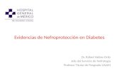 Evidencias de nefroprotección en diabetes