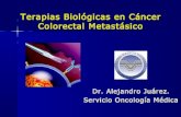 Terapias Biologicas Cancer Colorectal