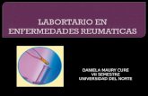 Labortario en enfermedades reumáticas texto hispanoamericano