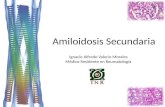 Clase amiloidosis secundaria
