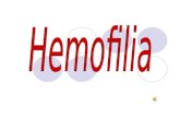 Presentacion hemofilia