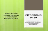 Citocromo p450, P450, isoenzimas