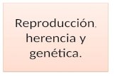 Reproducción, herencia y genética para Biología deAcceso universidad mayores 25