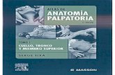 Atlas de anatomia palpatória   colo, tronco e membro superior