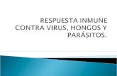 Respuesta inmune contra virus, hongos y parásitos