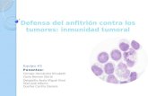 Defensa del anfitrion contra los tumores: inmunidad tumoral-Equipo 5