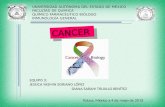 Inmunologia del cancer