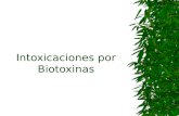 Intoxicación por biotoxinas.