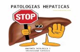 Patologias Hepaticas.