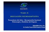 Fisioterapia Neuroadaptativa Scenar. Carlos Udina