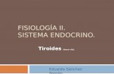 Fisiología de la glándula tiroides