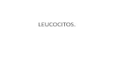 exposicion sobre Leucocitos