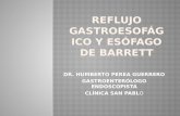 Reflujo Gastroesofagico y Esófago de Barrett san pablo 2013