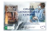 Enfermedad de Crohn ASAC2011-5 láparoscopiacrohn santiago mera velasco