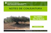 Notes de cojuntura: olivera i oli d'oliva