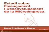 Bones practiques a Europa - Estudi sobre Finançament i Desenvolupament de la Microempresa