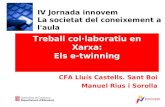 Treball col·laboratiu en Xarxa: Els e-twinning