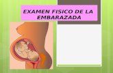 Examen  fisico de la embarazada