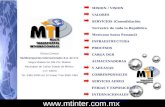 MTI Presentacion De Servicios