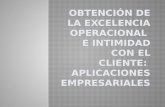 Obtención  de la Excelencia Operacional e Intimidad con el Cliente: Aplicaciones Empresariales