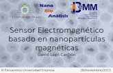 Sensor Electromagnético basado en nanopartículas magnéticas