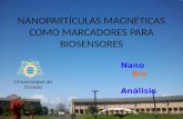 Nanopartículas magnéticas como marcadores para biosensores