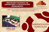 Diversificacion Curricular   Per 19 De Abril Del 2008