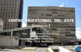 CENTRO PROFESIONAL DE ESTE (Caracas)2 pdf