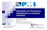 Direccion de Proyectos-Experiencia en una empresa Industrial