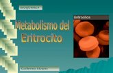 conentracion de glucosa y eritrocito