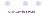 Oxidacion de acidos grasos