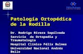 trauma 4 2 Patología Ortopédica de la Rodilla (1)