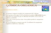 Quimica Organica Ju 12 - 2
