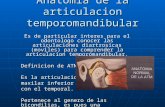 Anatomia de La Articulacion Temporomandibular