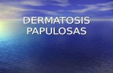 4 - DERMATOSIS PAPULOSAS